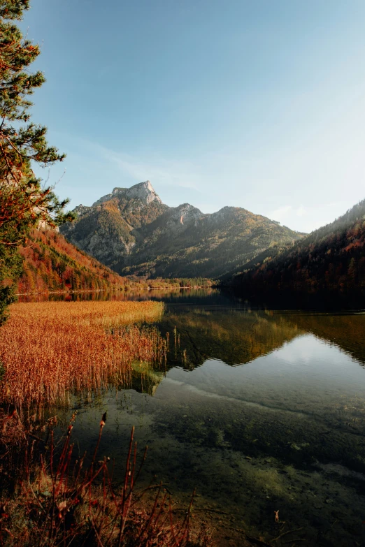 the landscape near the body of water is very beautiful