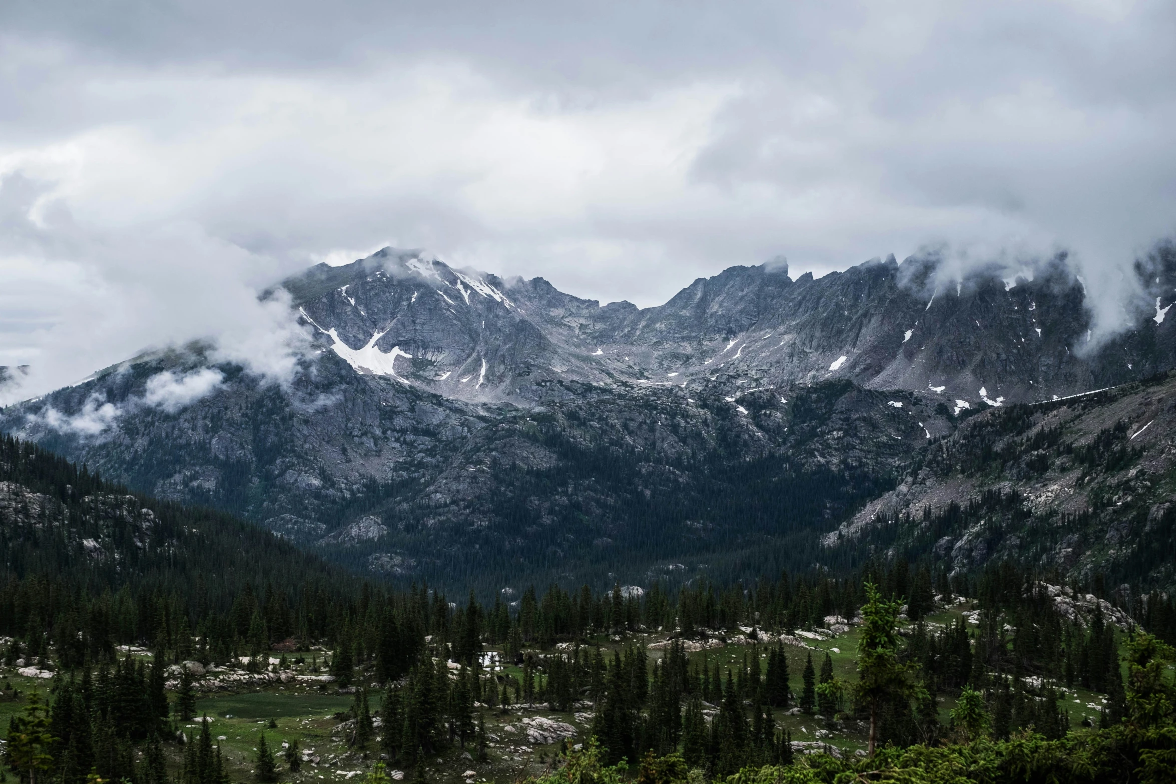 a scenic view of snowy mountains and evergreens