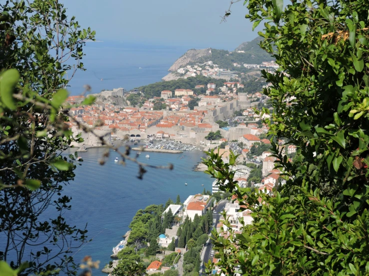 a view of the bay from the top of a hill