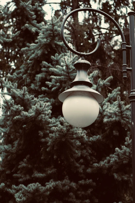 a lamp post with a street light between two trees