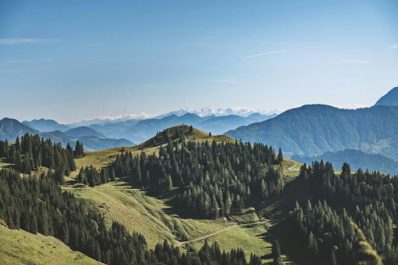 a view of some mountains covered in grass and trees