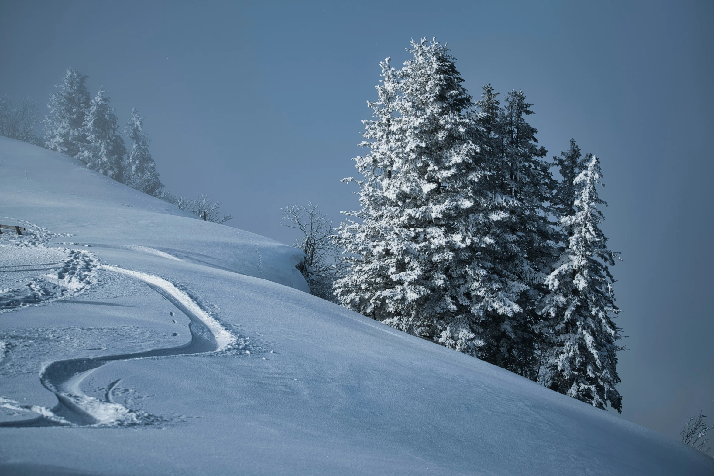 there is a snow boarder that is going down the hill