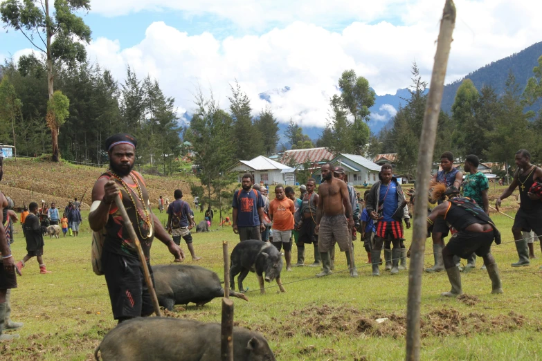 people and animals in a field with people standing