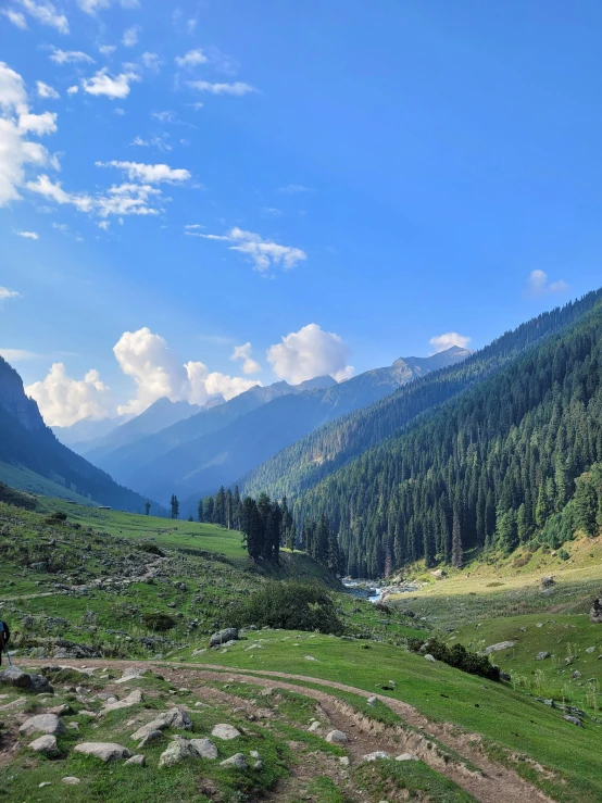 mountain view with rocks and grass below and on the ground, and some trees in the background