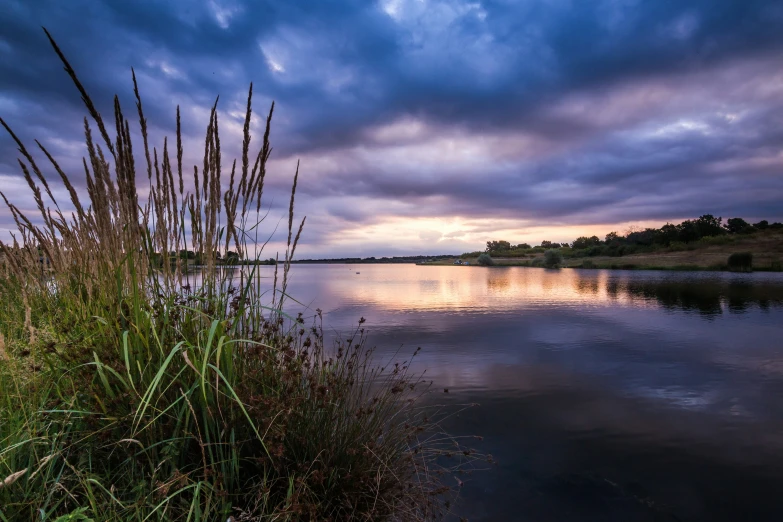 a view from across the lake with grasses and cloudy skies