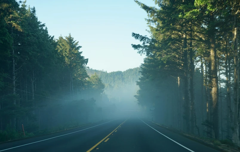 a car on a road that is shaded by fog