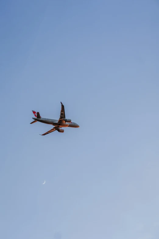 an airplane flying with it's landing gear down