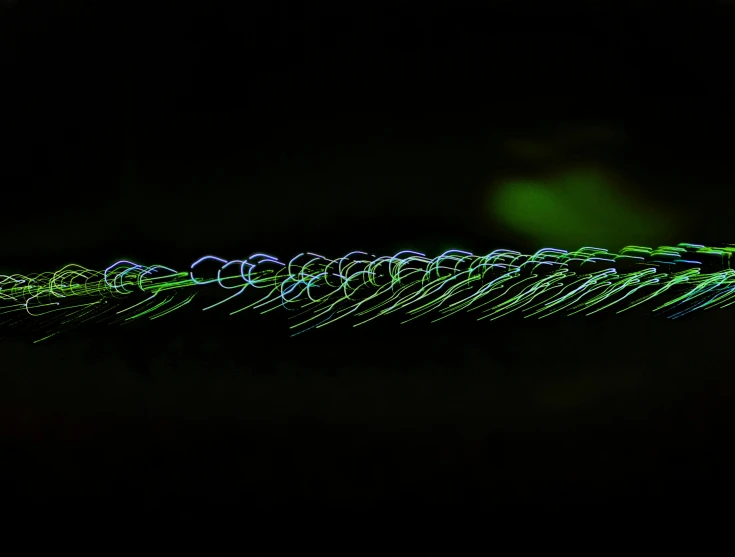 a very green plant with long, bright lines on the top