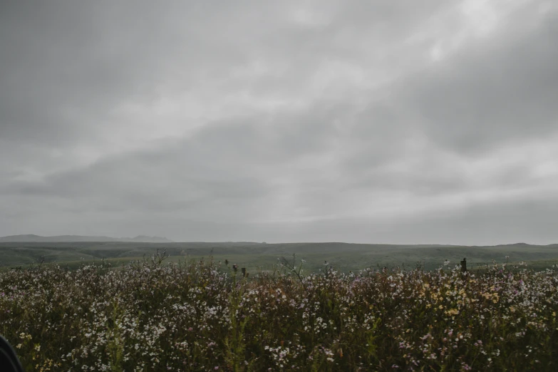 a po of a field with hills in the background