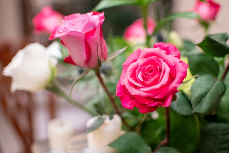 a vase with two pink roses and white ones