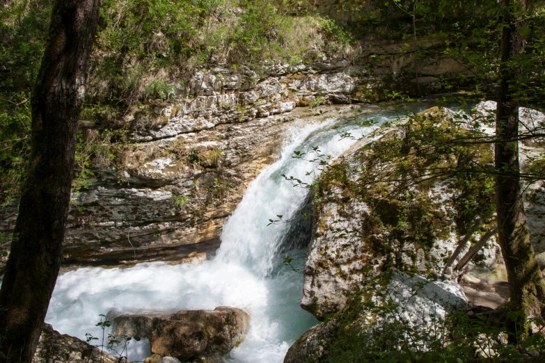 the water is flowing between two rocks near trees