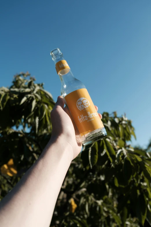 a hand holds a half gallon beer bottle