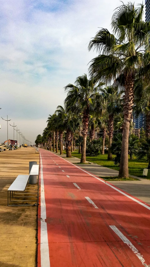 empty sidewalk lined with white benches next to palm trees