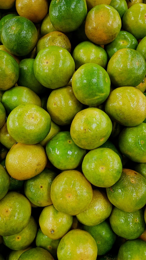 close up s of several lemons and limes on display