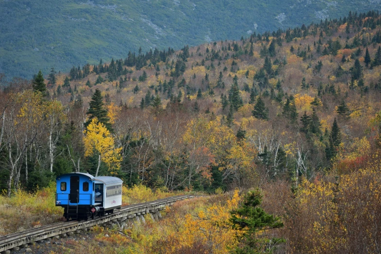 a train on tracks near wooded area with mountains in background