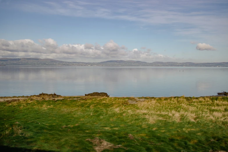 grass on shore and body of water in the background