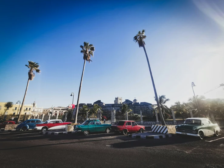 cars parked in a parking lot in front of palm trees