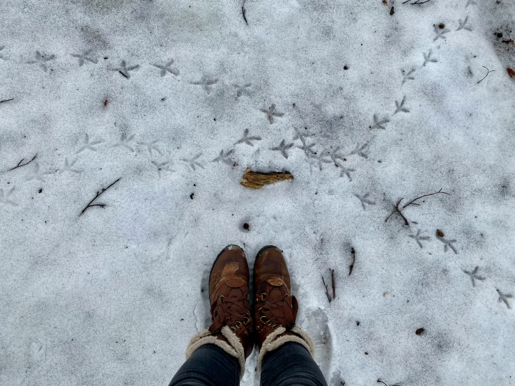 someones feet in the snow looking for a good cookie
