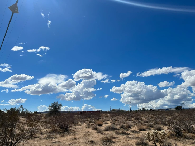 a field with plants in it under a partly cloudy sky