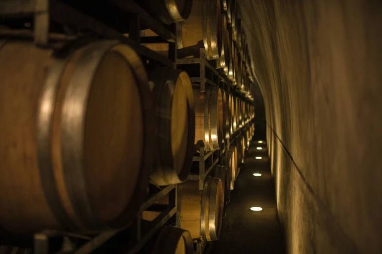 many wine barrels are in the dark and some people are in a light