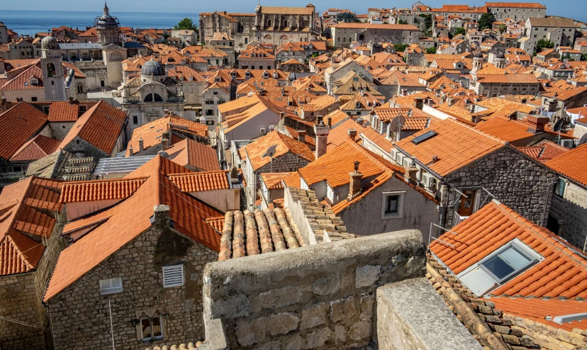 a city skyline with red rooftops on an overcast day