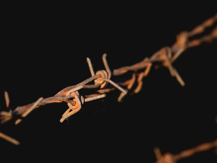 several small sticks that have been wrapped in barbed wire