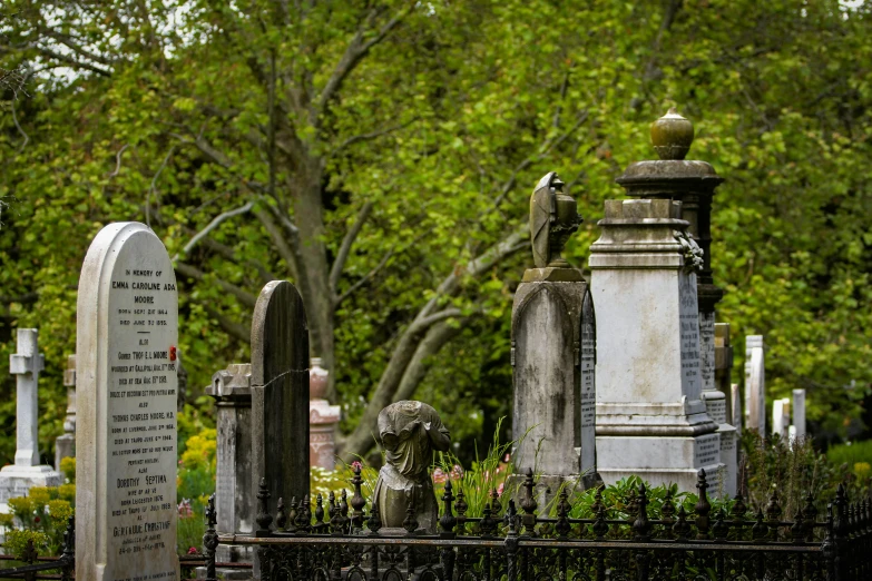 a cemetery with some headstones and green trees in the background