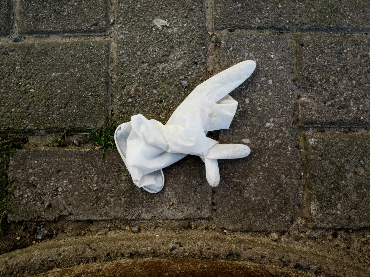 a stuffed animal is placed on the side of a road