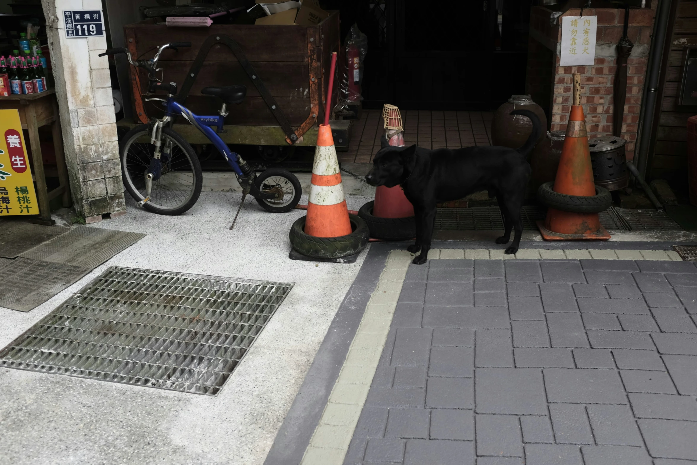 a black dog standing next to an orange cone and cone