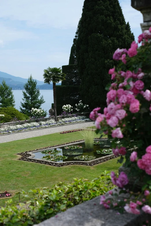 flowers on display next to water and stone wall