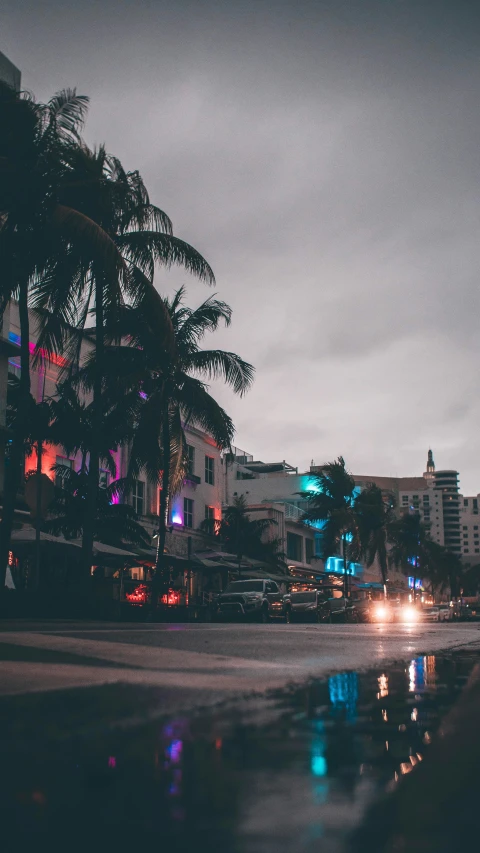 night time in a city with traffic and palm trees