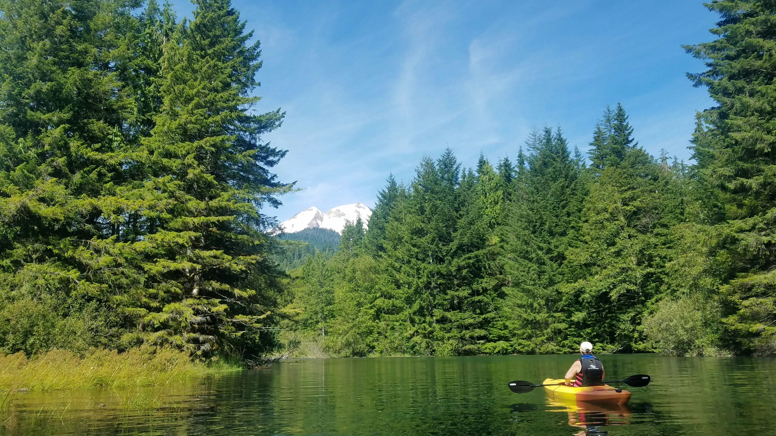 a man in a yellow kayak on the water surrounded by trees