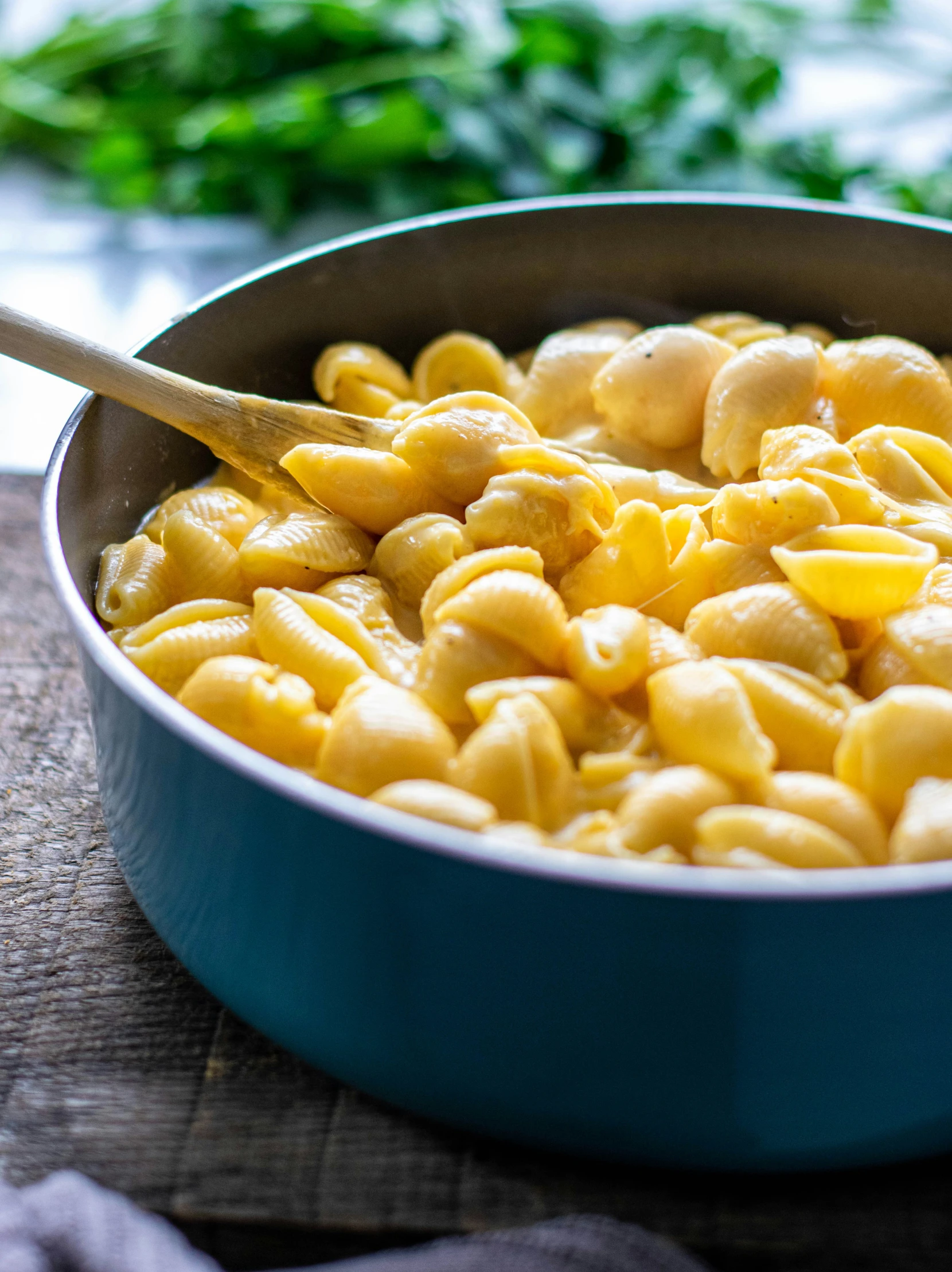 closeup of macaroni and cheese in pan