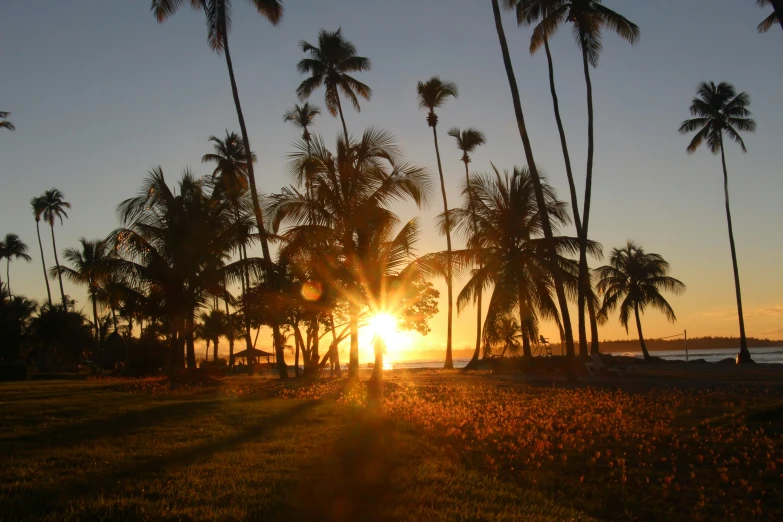 a couple walks along the beach at sunset