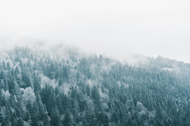 the mountain is surrounded by snow covered trees