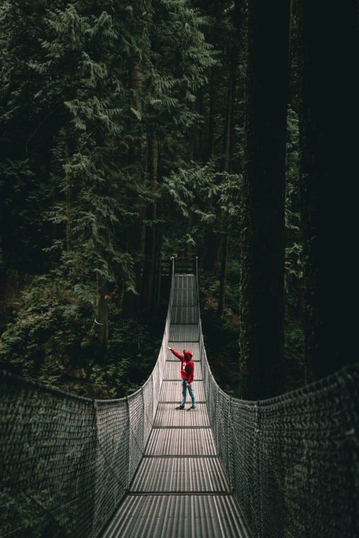 a young man walks across a rope bridge in a forest