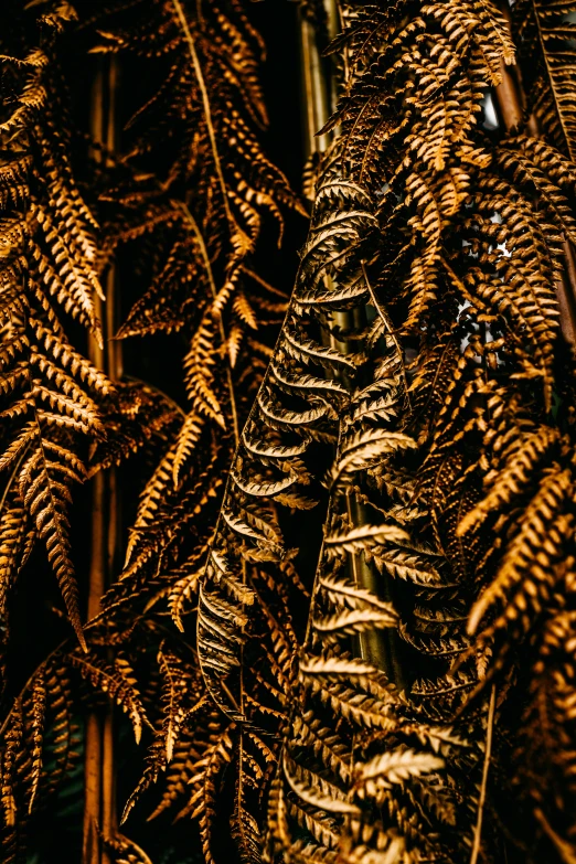 ferns that are growing in the woods at night