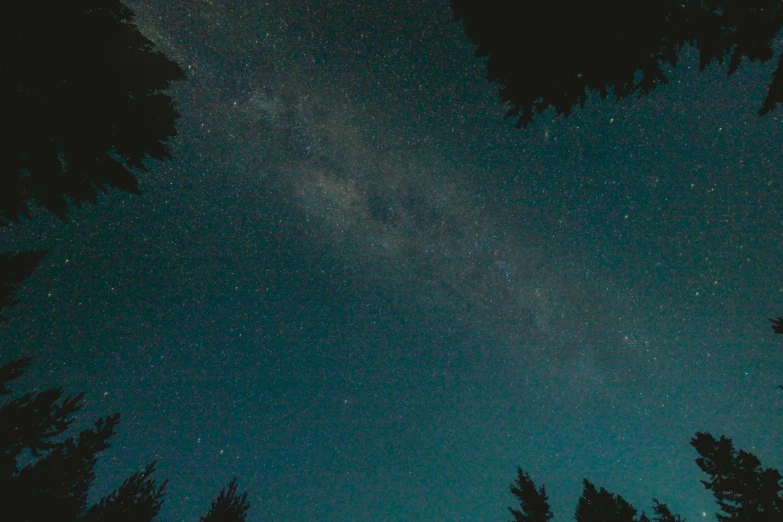 a view from the ground of stars in the sky