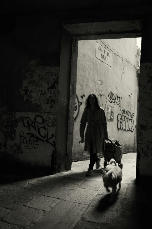a black and white po of a woman walking two dogs