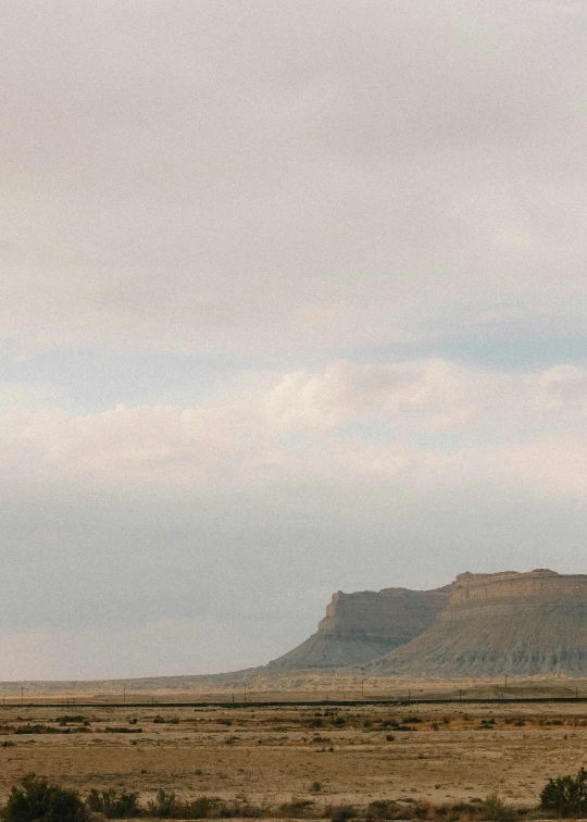 an arid plain has a lone animal standing on the horizon