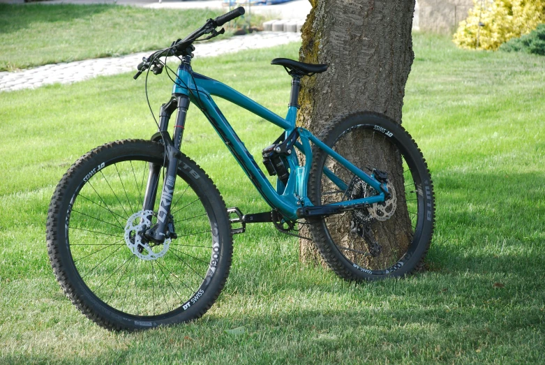 the bike is leaning against the tree in the grass