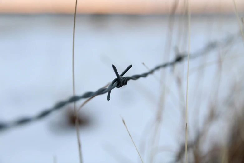 a barbed wire is attached to the fence