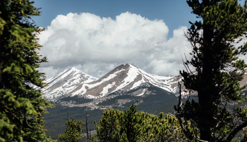 snow covered mountains in the distance, near pine trees