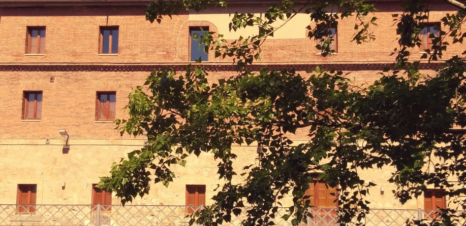 an old building is shown behind a tree