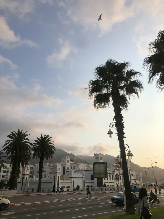 people are walking down the street by palm trees