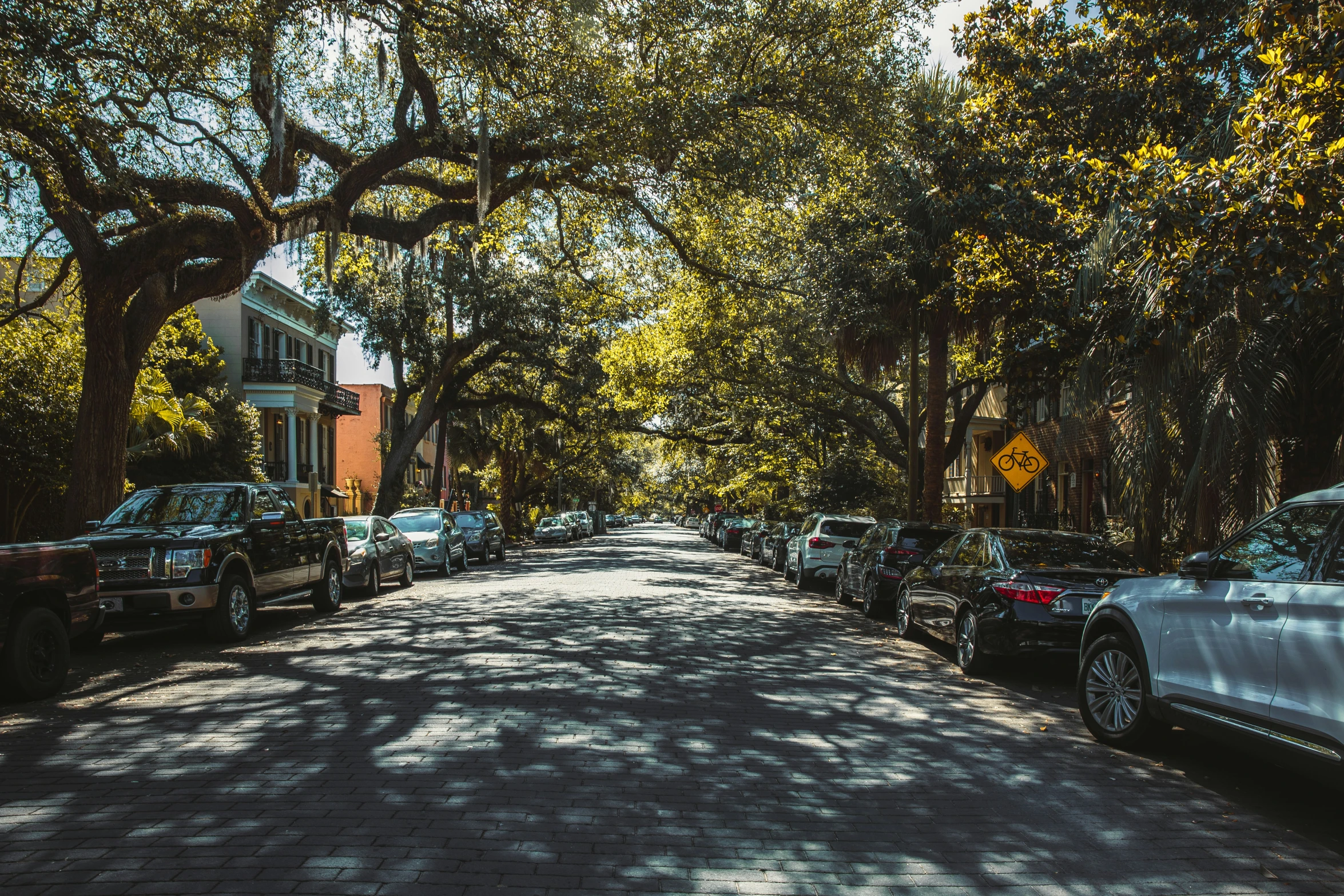 cars parked on a tree lined street surrounded by trees