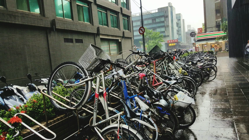 many bicycles are lined up outside on the street