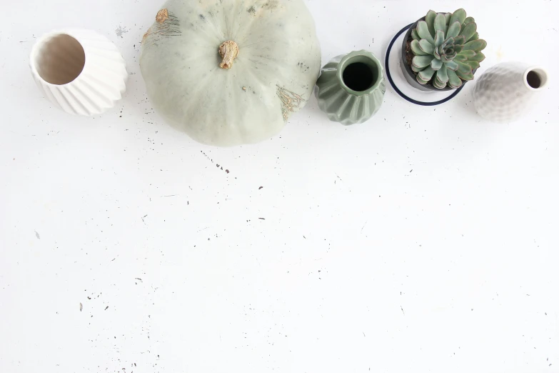 various ceramic pieces on a white surface with plants