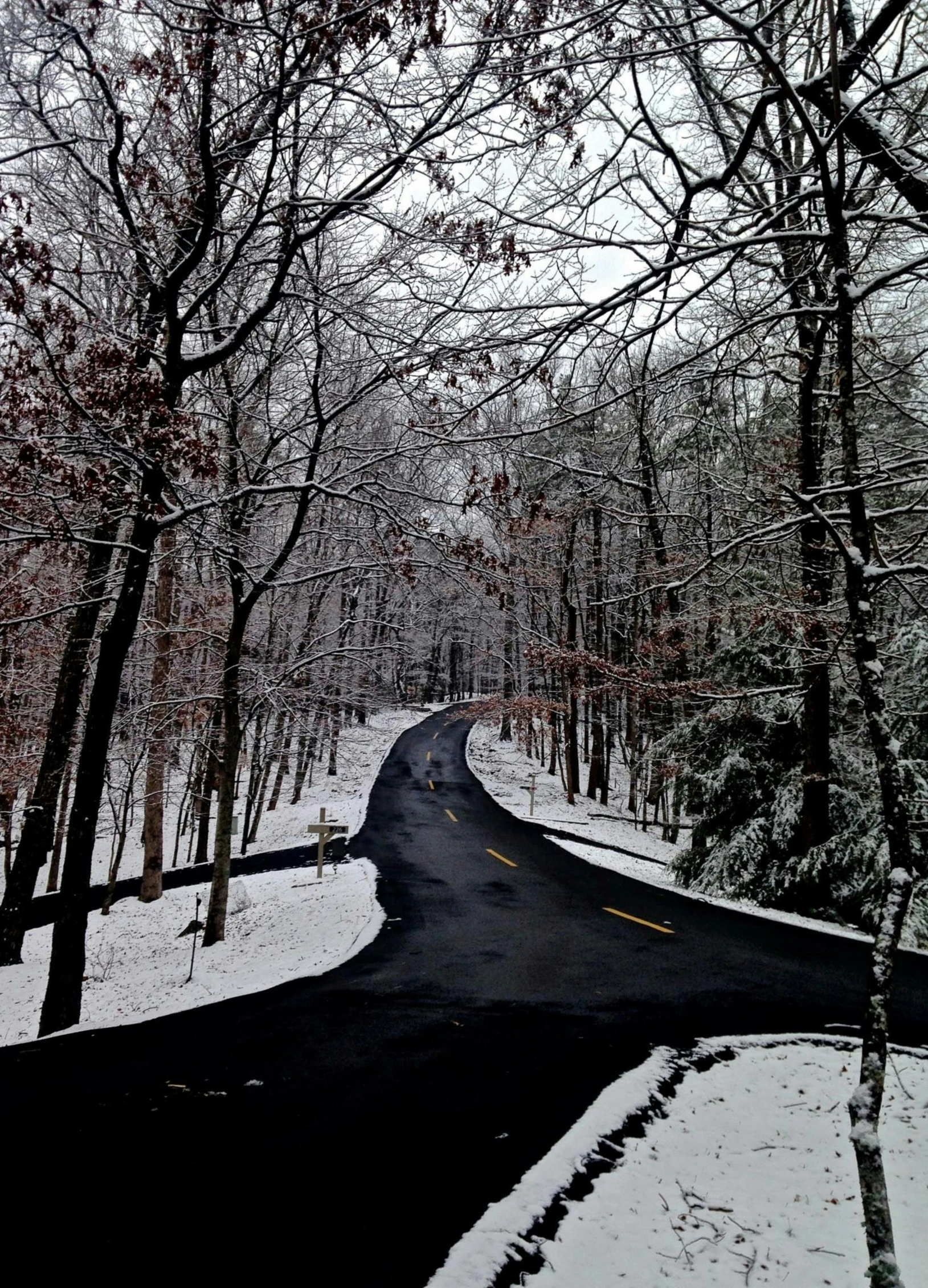 an empty road in winter with snowy trees