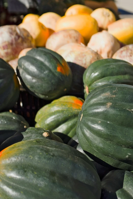 several melons and other vegetables sit together